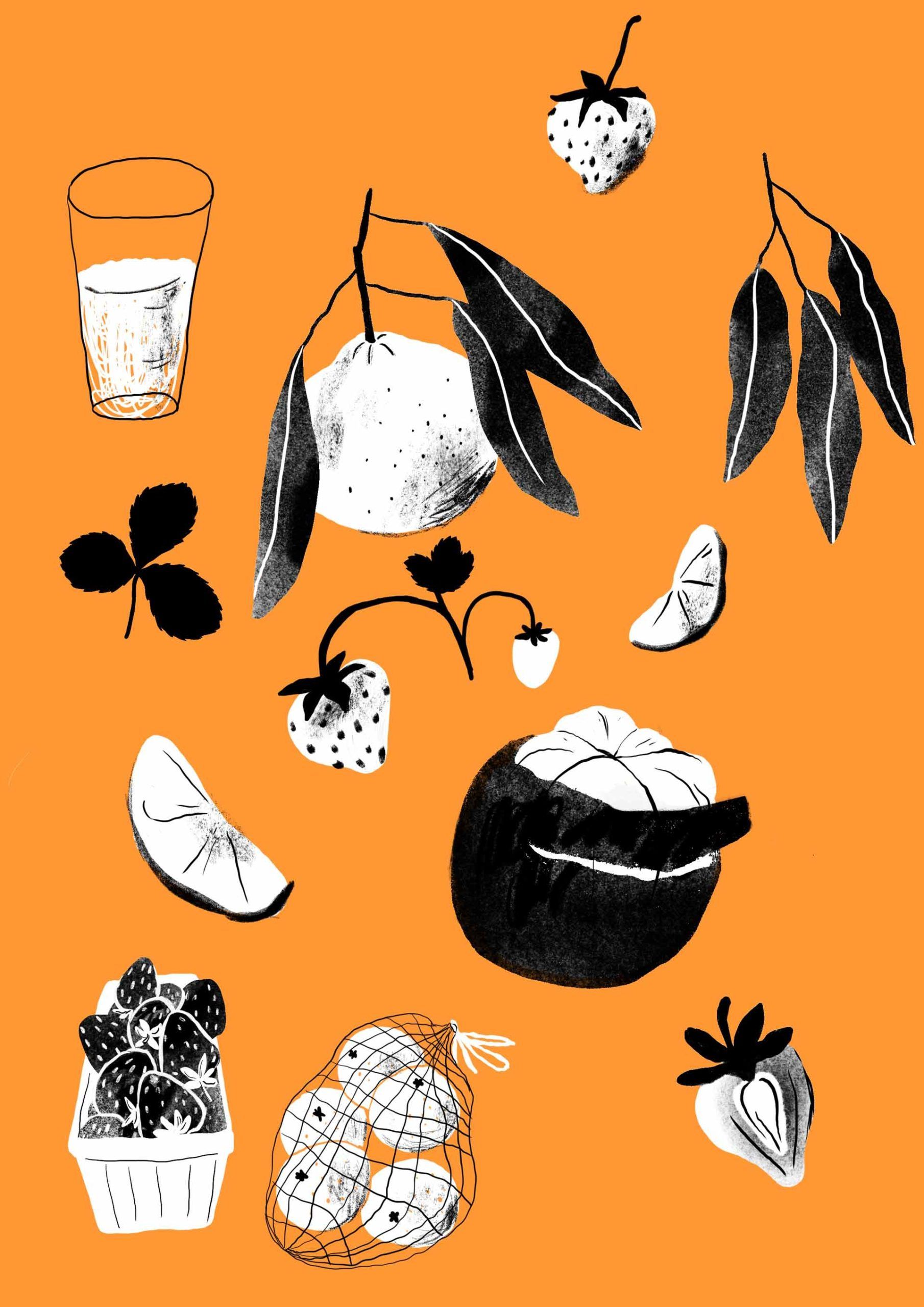 Illustrating a serie of Organic Juices